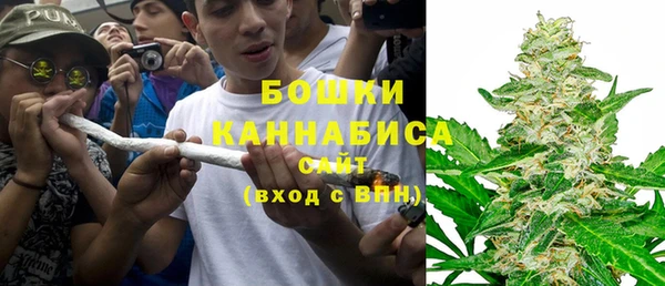 крисы Заводоуковск