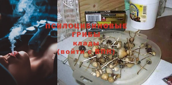 крисы Заводоуковск